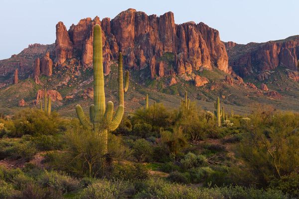 La tua auto a noleggio all'aeroporto Phoenix Sky Harbor con Sixt